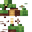 Texture for turtle