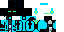 Texture for NanoEnderman
