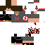 Texture for Han