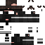 Texture for CLEIVER