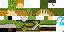 Texture for Zelda