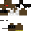 Texture for shazen