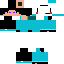 Texture for ddsa