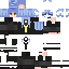 Texture for eins simp attractor