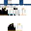 Texture for Kite