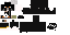 Texture for boder collie