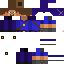 Texture for steve hunter