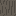 Texture for acacia_bark