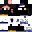 Texture for Microprogrammer