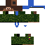 Texture for pipiola 2