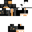 Texture for Domon