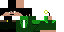 Texture for Suit Zap