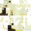 Texture for Priest Matt