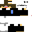 Texture for マイクラスキン