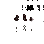Texture for huesos