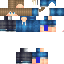 Texture for lionsc