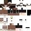 Texture for capybara