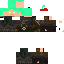 Texture for 0Gemon_8