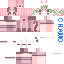 Texture for saki mej 2