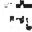 Texture for MORTE