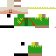 Texture for steve