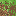 Texture for ghhg