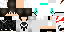 Texture for igor