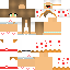 Texture for Swag