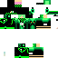 Texture for sam