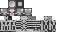 Texture for Terminetor