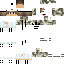 Texture for LinkIsBack