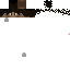 Texture for DS
