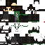 Texture for Saidh potter