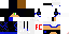 Texture for Fc Skin