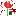 Texture for Magical Red Allium