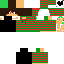 Texture for ひいらぎ