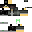 Texture for Master 