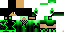 Texture for colt