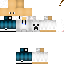 Texture for VAALE V8