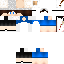 Texture for Siege