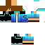 Texture for sim