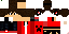 Texture for Dash 