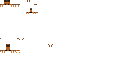 Texture for Stone's Cockroaches