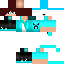 Texture for RaposaGameBR