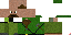 Texture for dwarf general