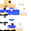 Texture for TitxetangZeldaCats