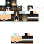 Texture for steve