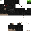 Texture for crow 2
