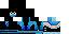 Texture for ninja