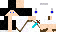 Texture for Zild